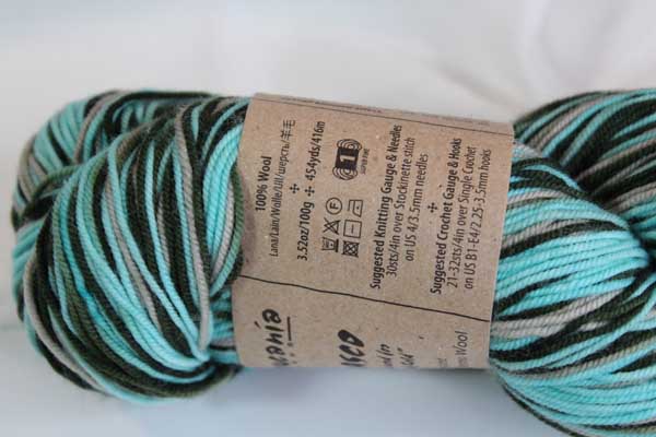 Image of Araucania Yarns Huasco Sock Hand Painted