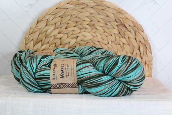 Image of Araucania Yarns Huasco Sock Hand Painted