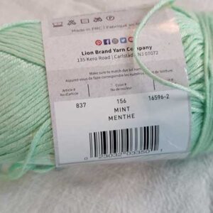 Lion Brand Truboo in Mint - Image 2