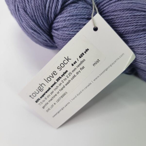 Image of Sweet Georgia Tough Love Sock in Mist