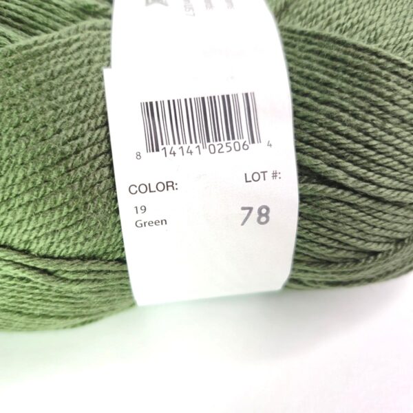 Image of Valley Yarns Haydenville in 19 Green