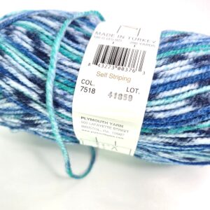 Plymouth Yarn Encore Colorspun in 7518 Jolly Rancher - Image 2