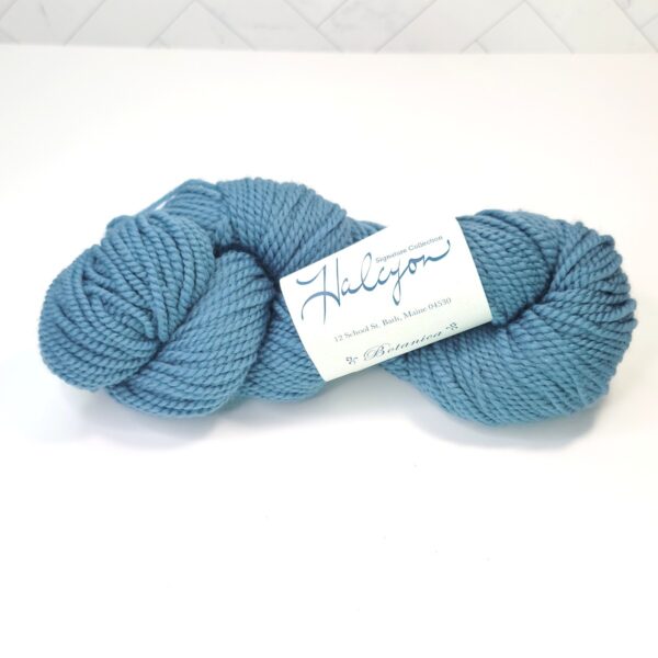 Image of Halcyon Yarn’s Signature Botanica in Light Blue