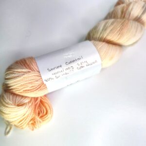 Tiny Human Knits Merino Nylon Fingering in Shrimp Cocktail - Image 2