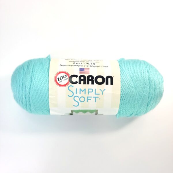 Caron Simply Soft Solids in 9780 Robins Egg