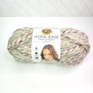 Lion Brand Wool-Ease Thick and Quick Stripes in 551 Fern - Image 1