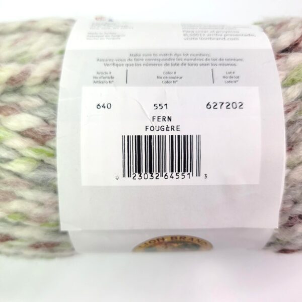 Image of Lion Brand Wool-Ease Thick and Quick Stripes in 551 Fern