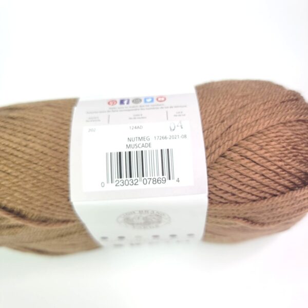 Image of Lion Brand Skein Tones in 124AD Nutmeg