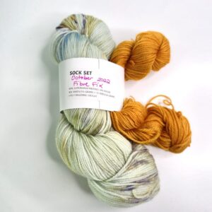 Allison Barnes Yarn Basic Sock & Mini in October 2022 Fibre Fix - Image 2