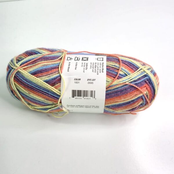 Image of Berroco Comfort Sock in 1831 Rotorua