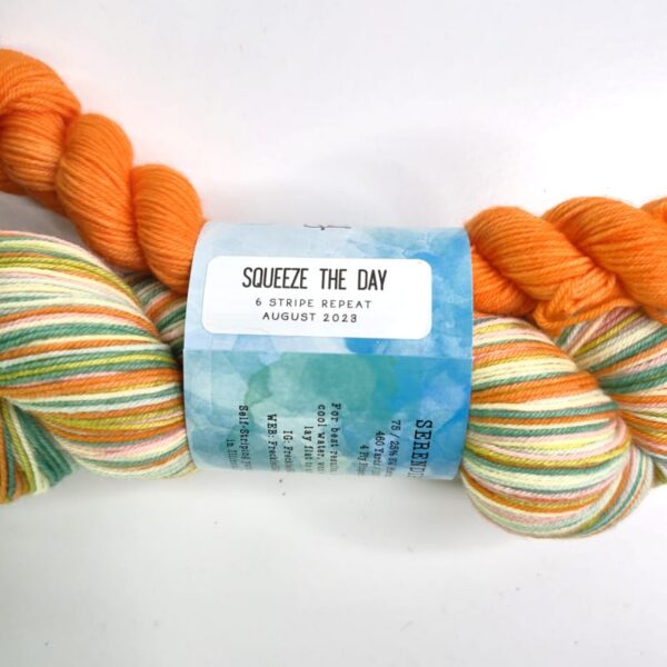 Image of Freckled Whimsy Serendipity Fingering Full Skein & Mini Set in Squeeze the Day
