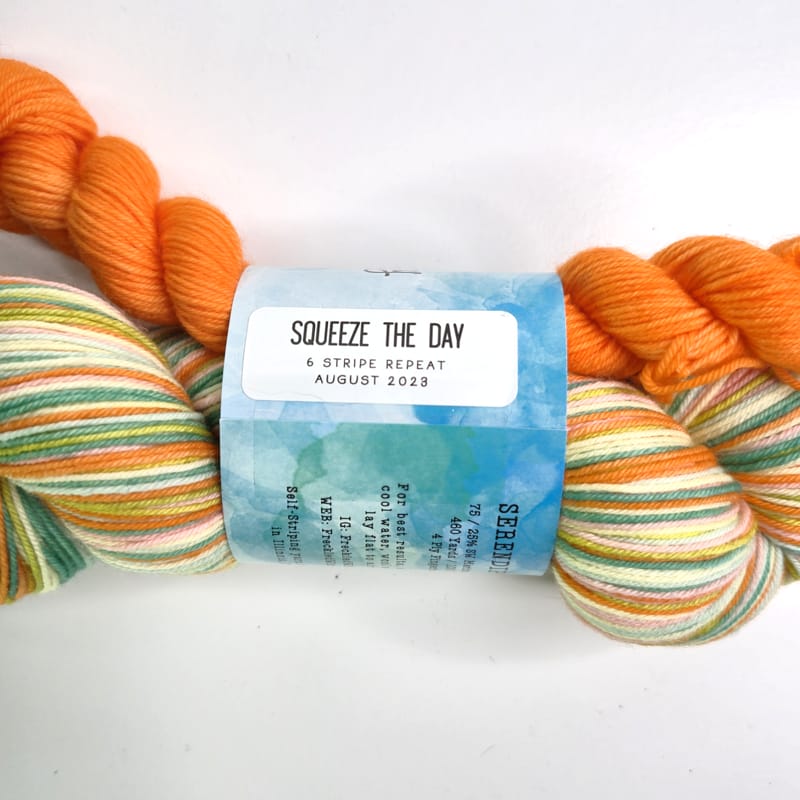 Freckled Whimsy Serendipity Fingering Full Skein & Mini Set in Squeeze the Day - Image 2