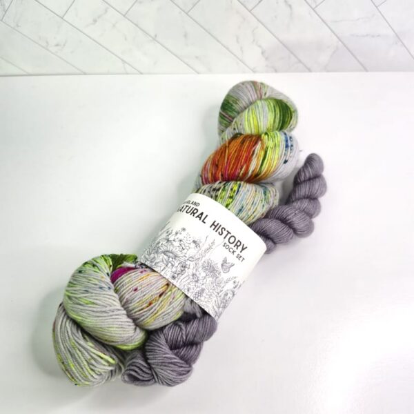 Image of Havirland Yarns Potomac Sock Set in Rose-Crowned Fruit Dove