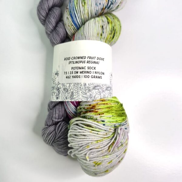 Image of Havirland Yarns Potomac Sock Set in Rose-Crowned Fruit Dove