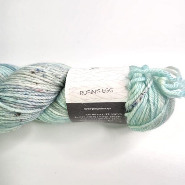 Image of Nice & Knit Worsted in Robin's Egg