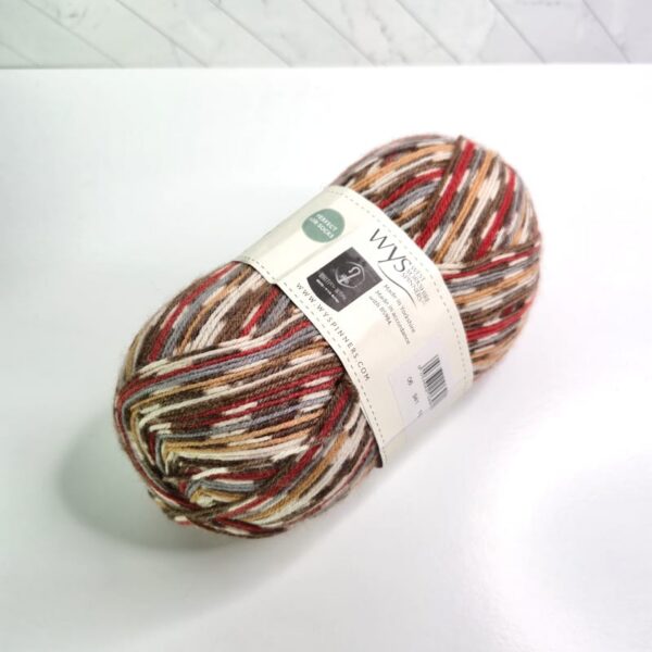 Image of West Yorkshire Spinners Signature 4 PLY Self Striping or Patterning in 941 Robin