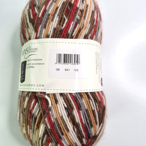 Image of West Yorkshire Spinners Signature 4 PLY Self Striping or Patterning in 941 Robin