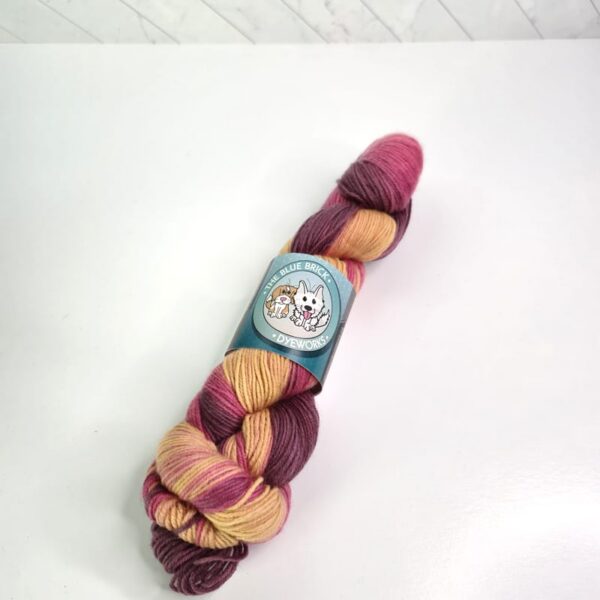 The Blue Brick Killarney Gradient Ladybug in Crab Legs