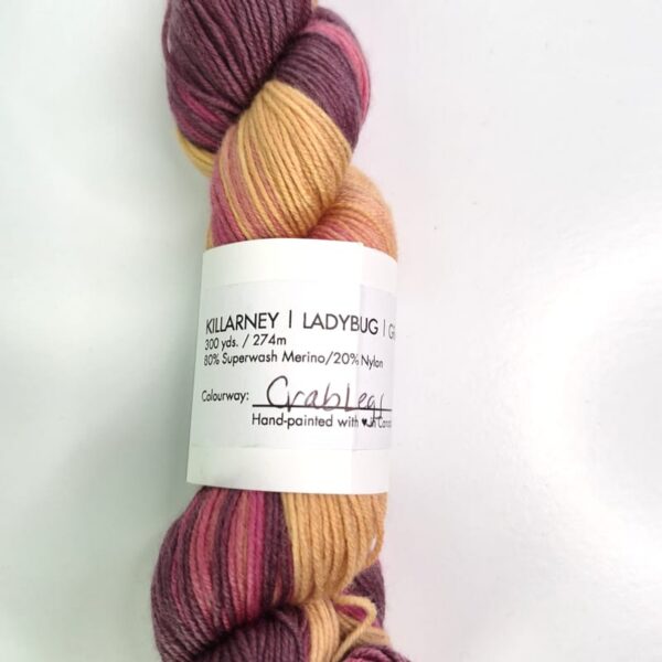 Image of The Blue Brick Killarney Gradient Ladybug in Crab Legs