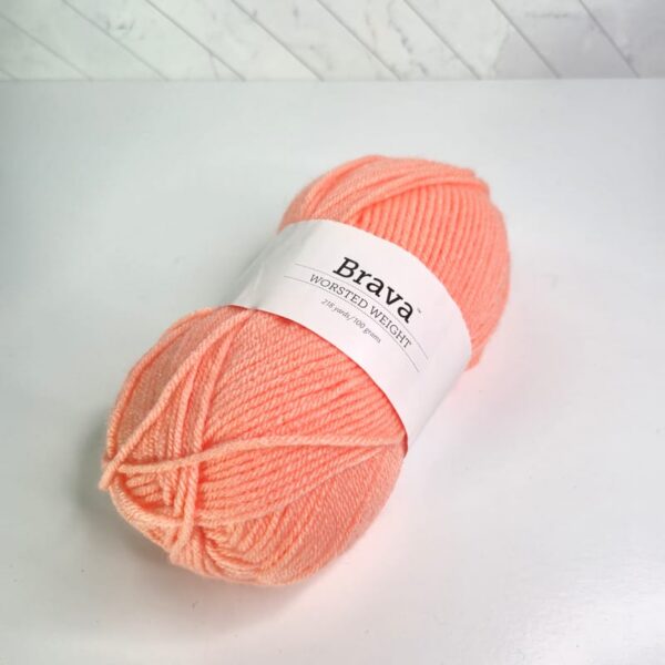 Image of Knit Picks Brava Worsted in 26367 Seashell