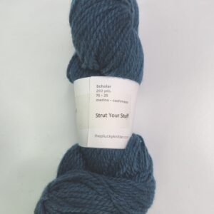 The Plucky Knitter Scholar in Strut Your Stuff - Image 2