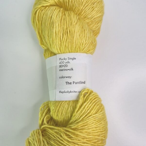 Image of The Plucky Knitter Plucky Single in The Pantlind