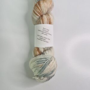 Toad Hollow Yarns Sock Toad in 2020 Harry Potter Club September Pumpkin Pasties - Image 2