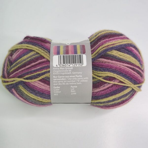 Image of Gründl Hot Socks Color in 402 Multicolored