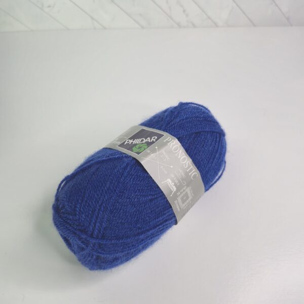 Image of Phildar Pronostic in 229 Blue