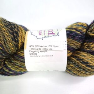 Red Hill Fiber And Co. SW Merino Sock Yarn in 2023 PURL Indiana Yarn Crawl - Image 2
