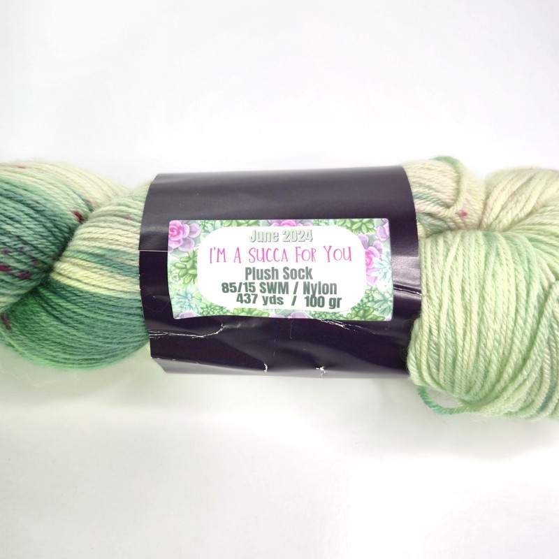 Hypnotic Yarn Plush Sock in June 2024: I