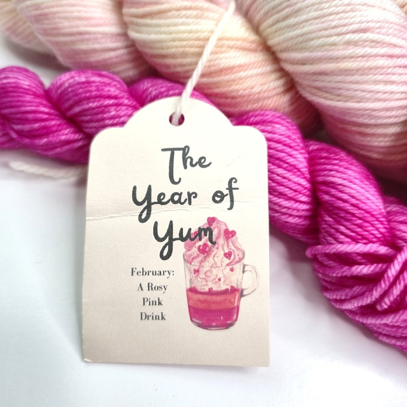 Ruby And The Yarn Co. Strong DK Sock Set in The Year of Yum Yarn Club - February: A Rosy Pink Drink - Image 2